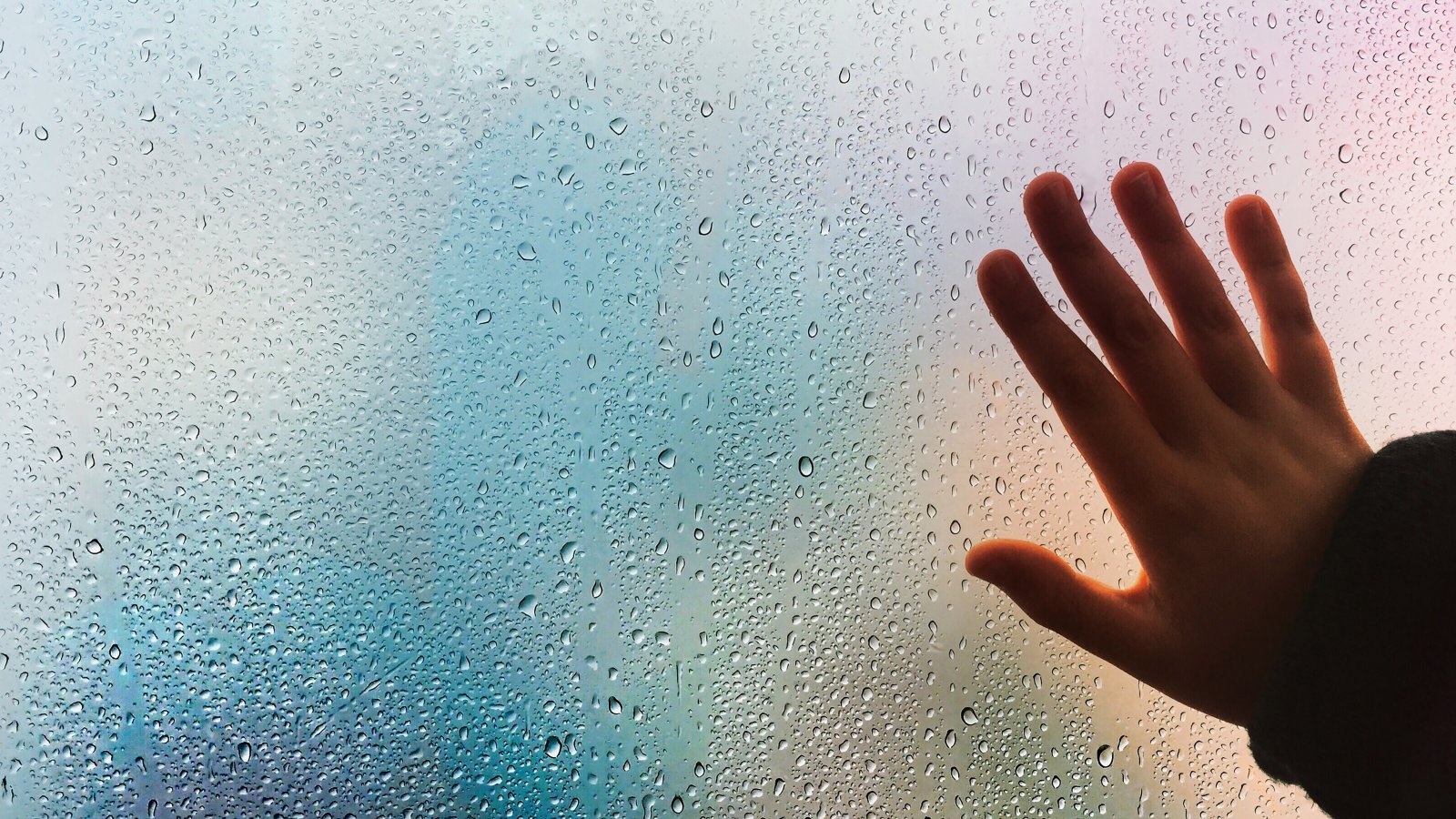 condensation on windows