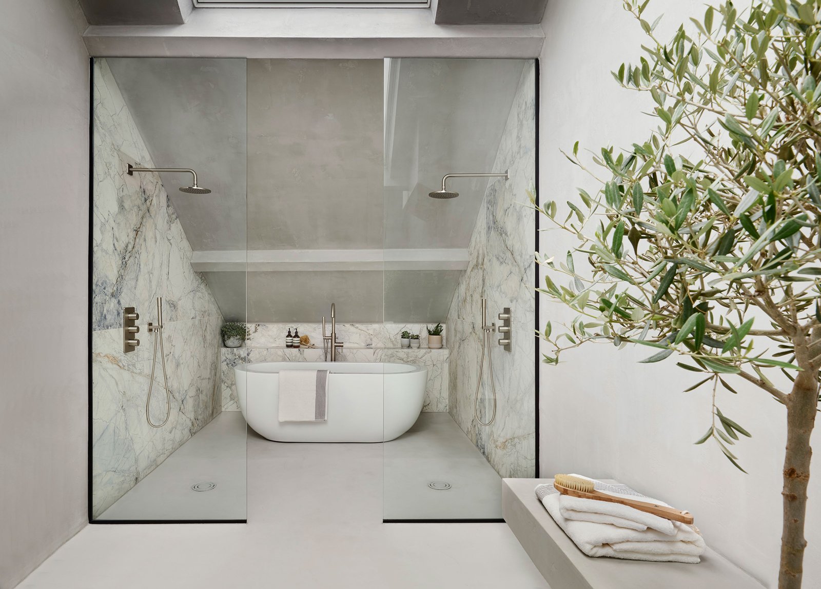 a microcement bathroom with an olive tree inside