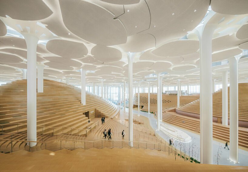 beijing city library by snøhetta opens to the public, revealing sculpted 'hills' and 'valleys'