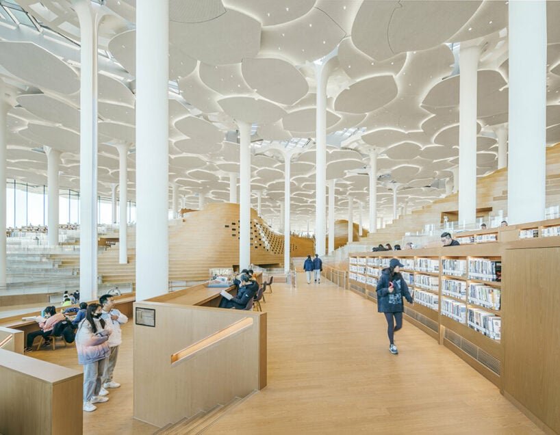 beijing city library by snøhetta opens to the public, revealing sculpted 'hills' and 'valleys'