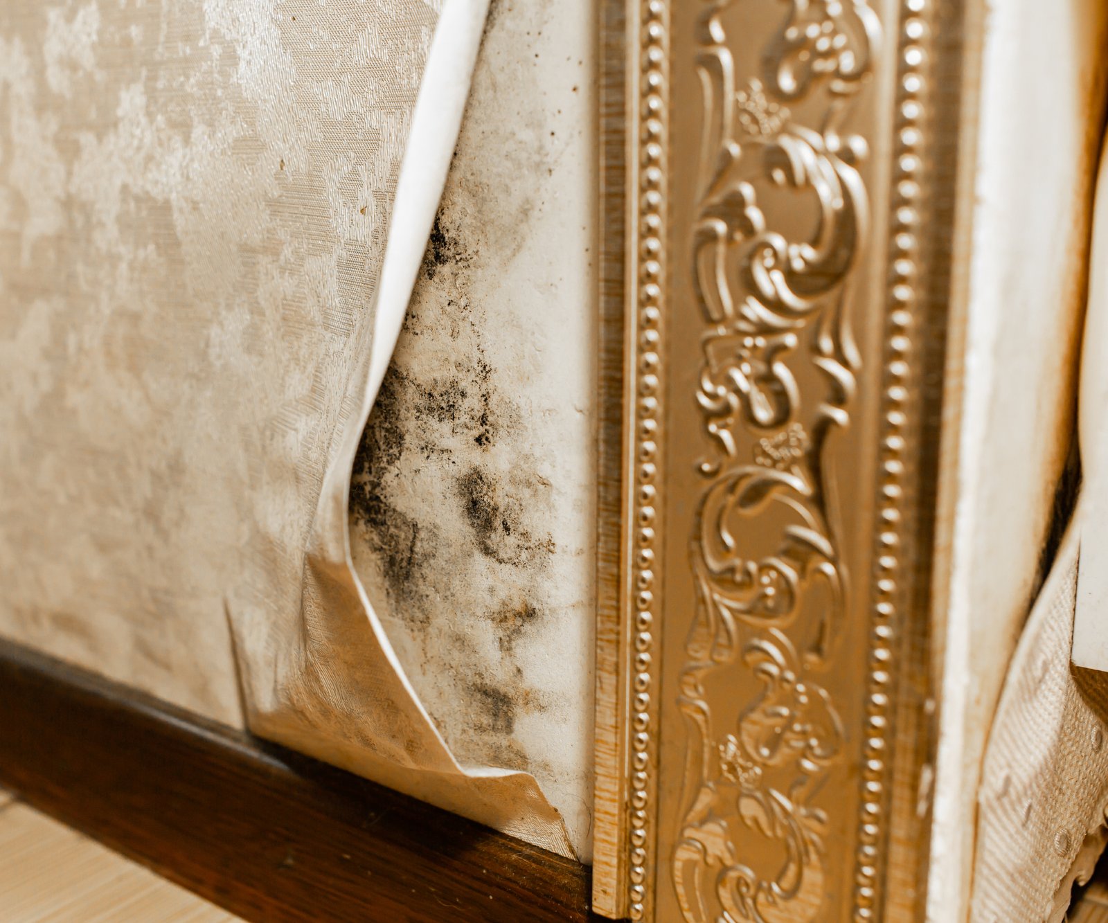 wallpaper peeling away with mould behind