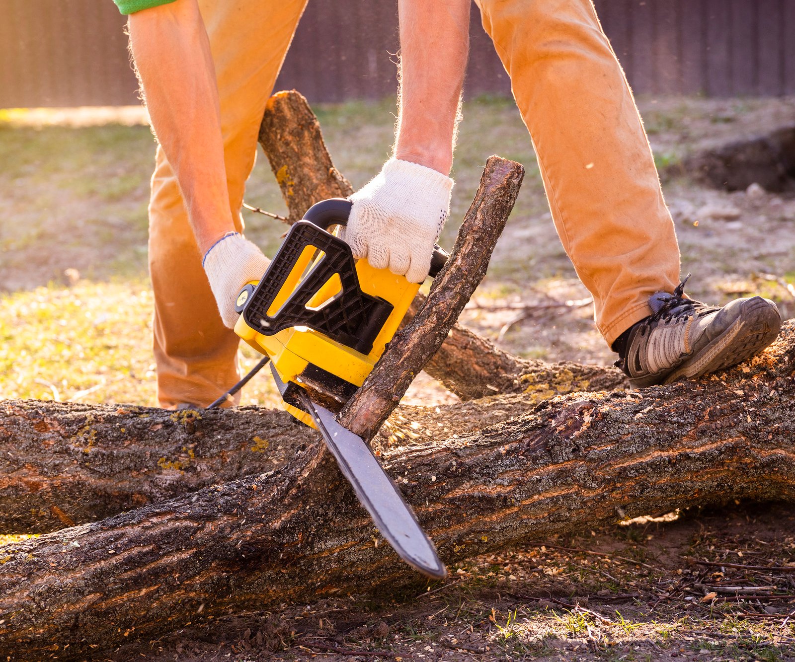 Gardener cutting branches off a tree trunk with a chainsaw
