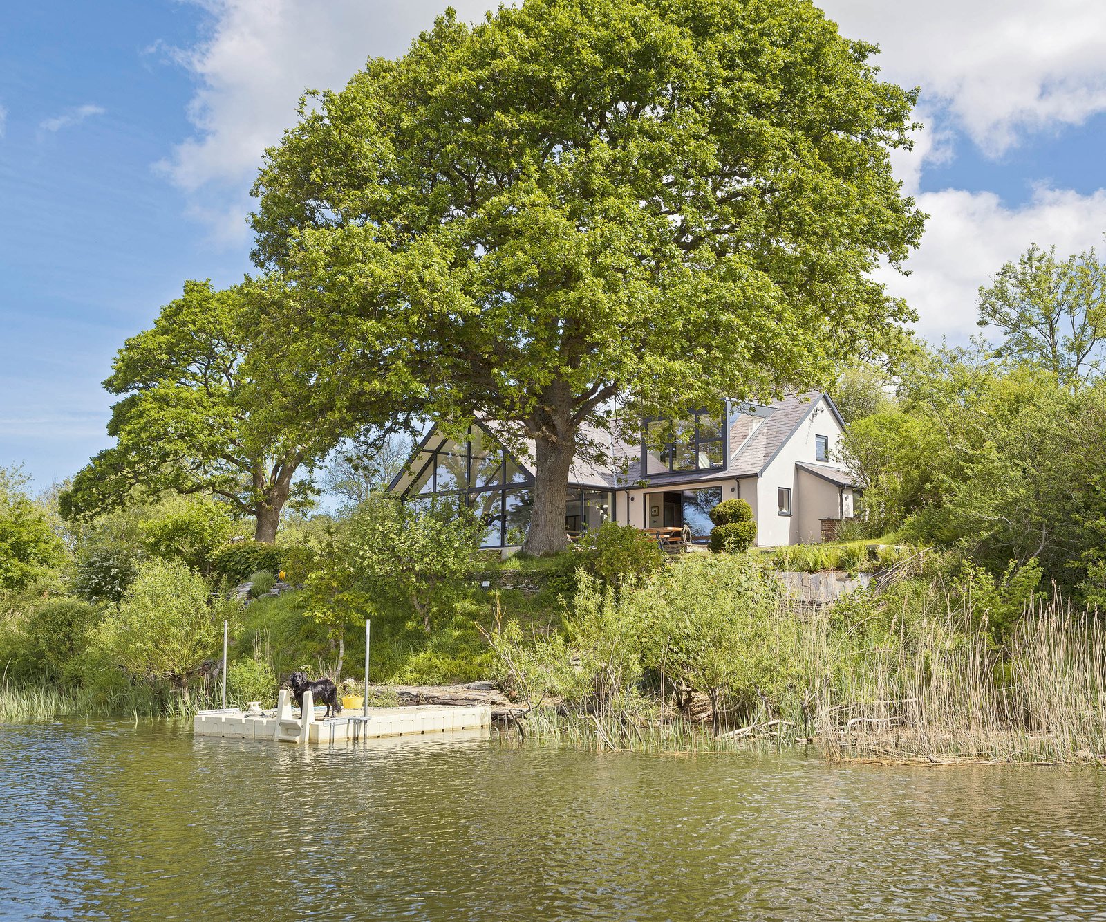 A home next to a lake with personal jetty and lots of tall green trees