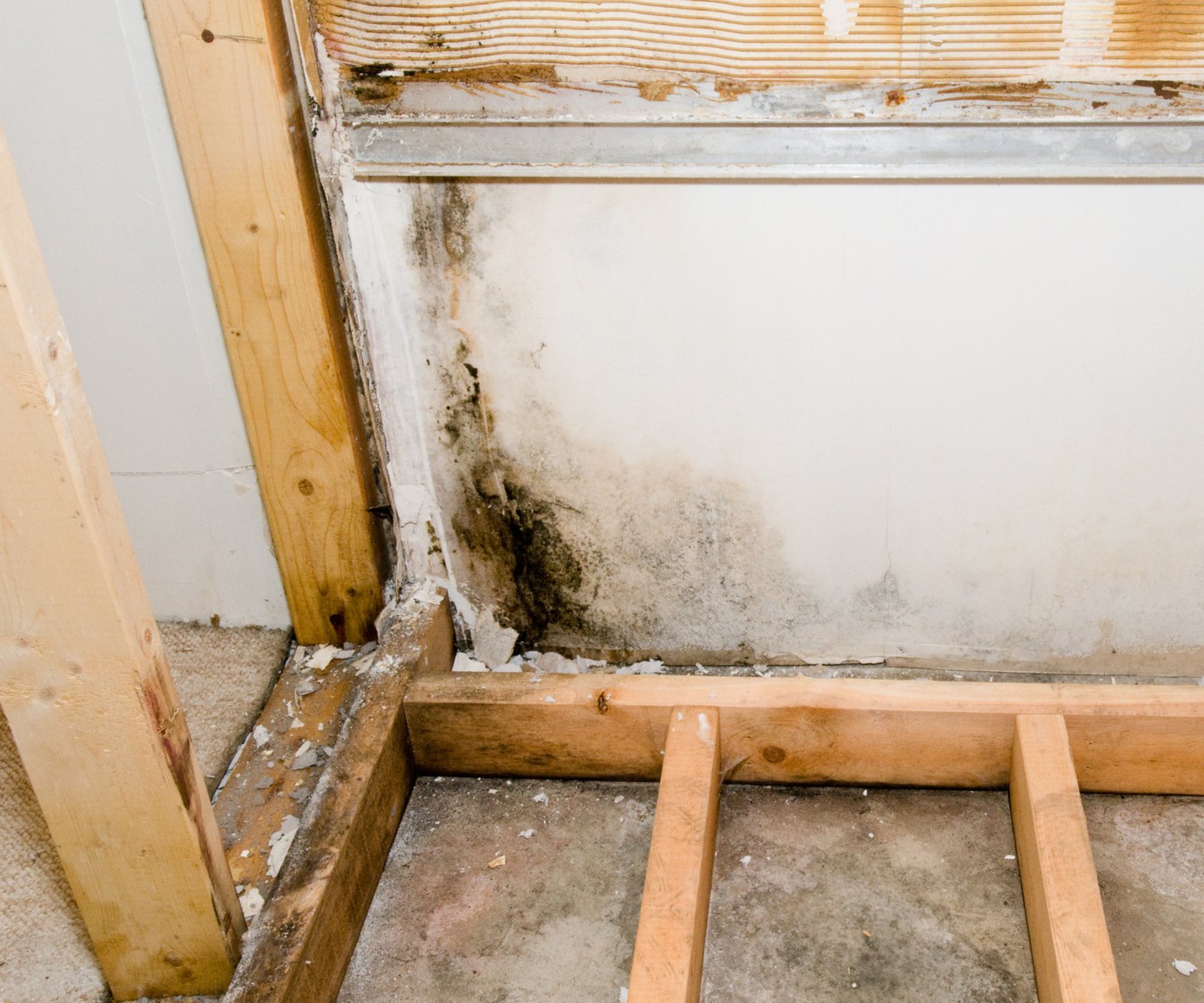 bath panel timber frame with damp on wall and timber