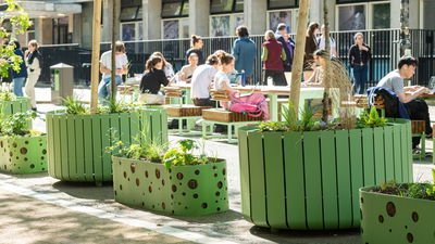 Habitats Decay Planter VES 17784 Photo Paul Upworthy