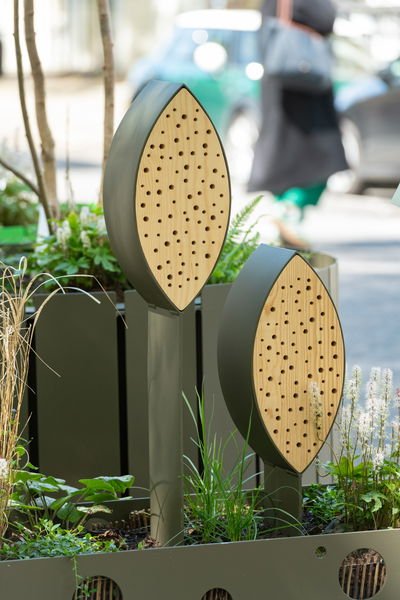 Habitats Leaf VES 17792 Photo Paul Upworthy