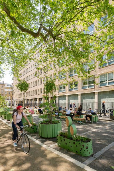 Stripes VES 17826 Photo Paul Upworthy