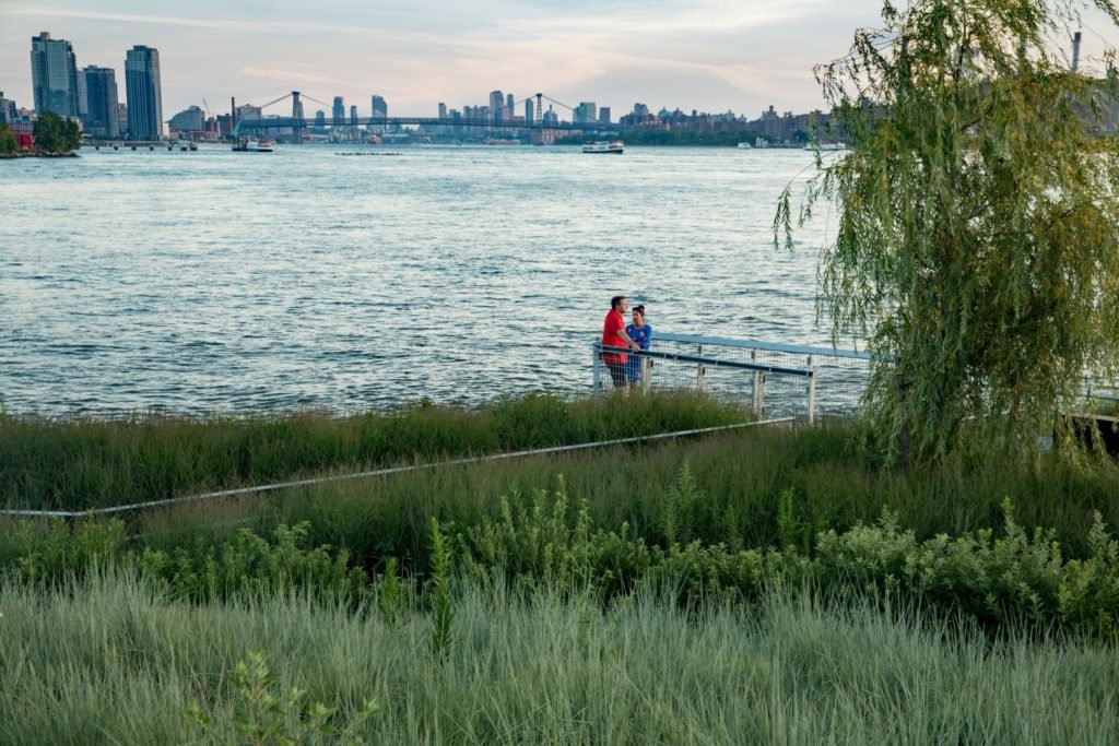 Hunters-Point-South-Phase-II-David-Lloyd-0667