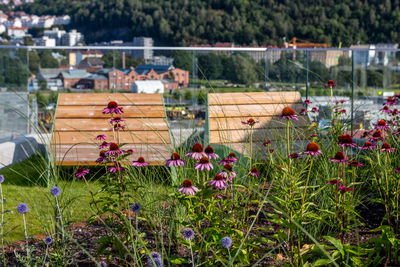 Bloc blomster