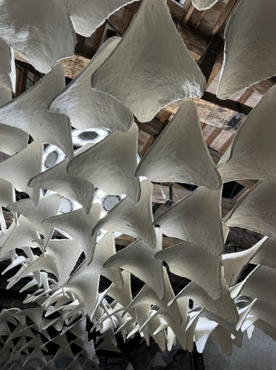 flight into shadow by deggendorf institute of technology