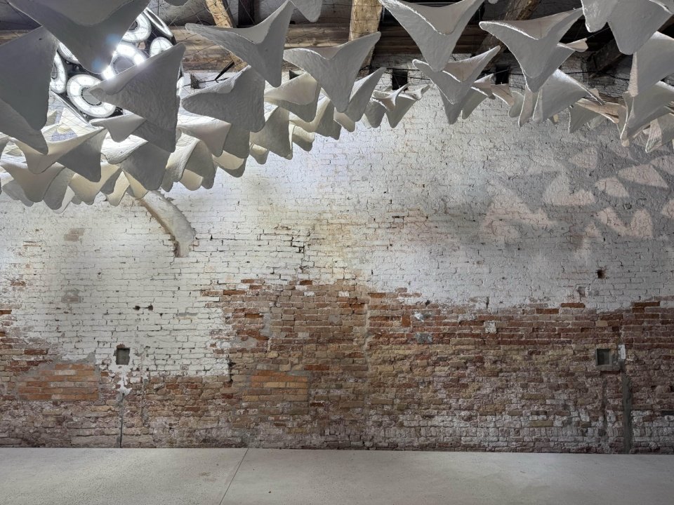 flight into shadow by deggendorf institute of technology