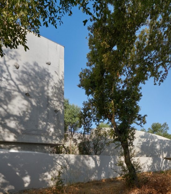 Animu Media Library in Porto Vecchio by Dominique Coulon tdn