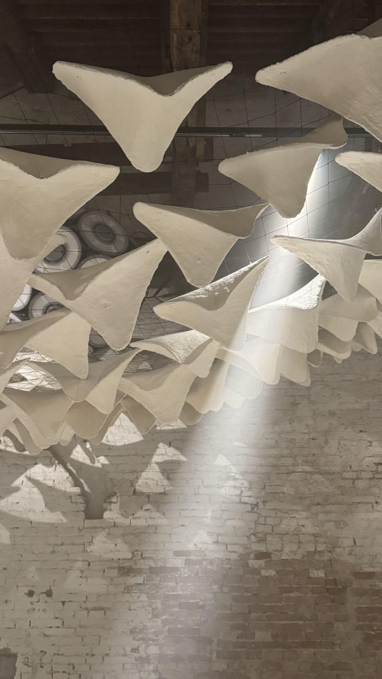 flight into shadow by deggendorf institute of technology