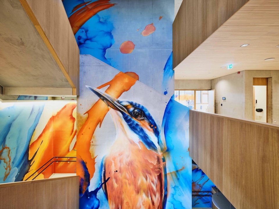 ecole brouch primary school by jswd