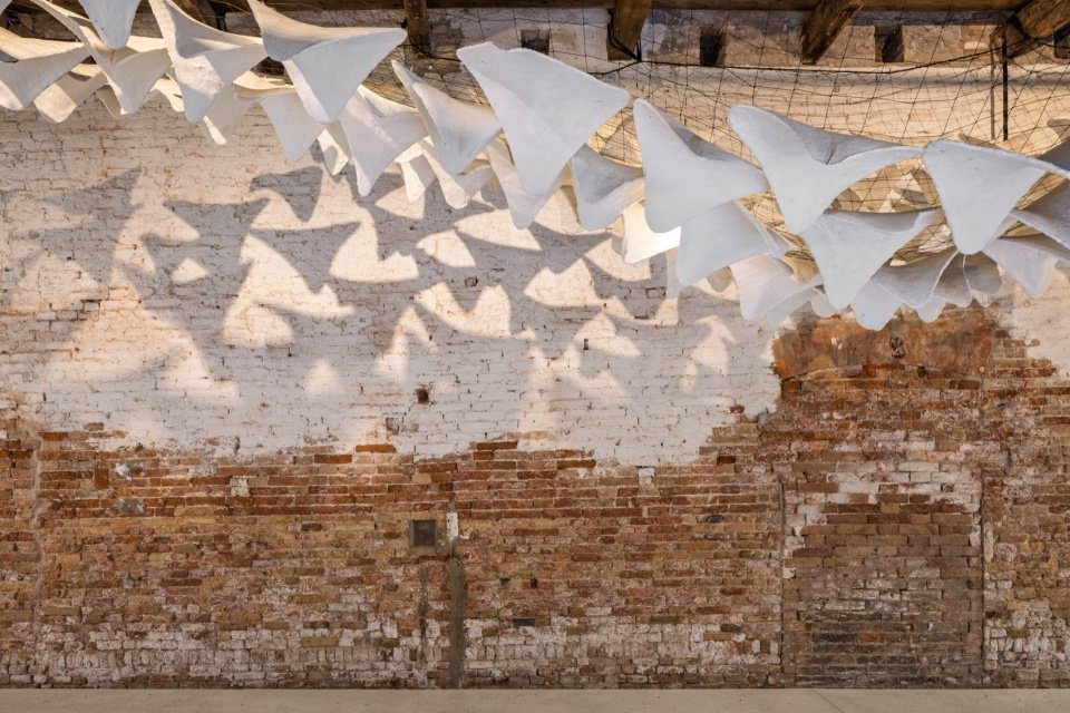 flight into shadow by deggendorf institute of technology