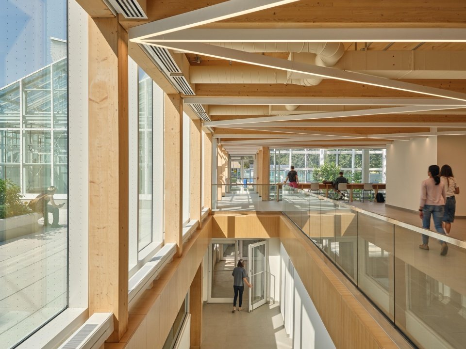 mcmaster university life sciences building and greenhouse by moriyama teshima architects