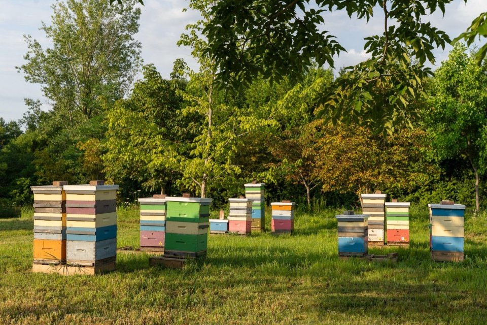 University of Guelph Honey Bee Research Center