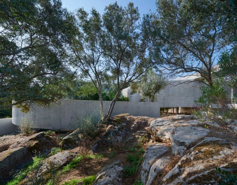 Animu Media Library in Porto Vecchio by Dominique Coulon rc7