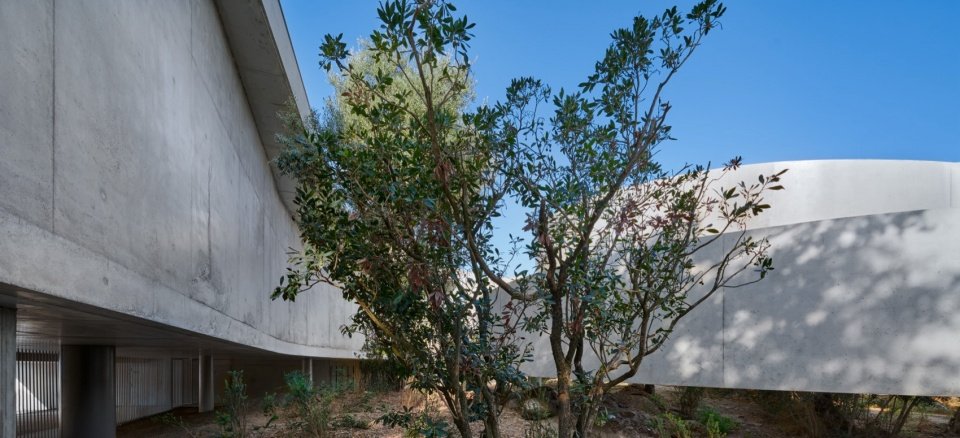 Animu Media Library in Porto Vecchio by Dominique Coulon