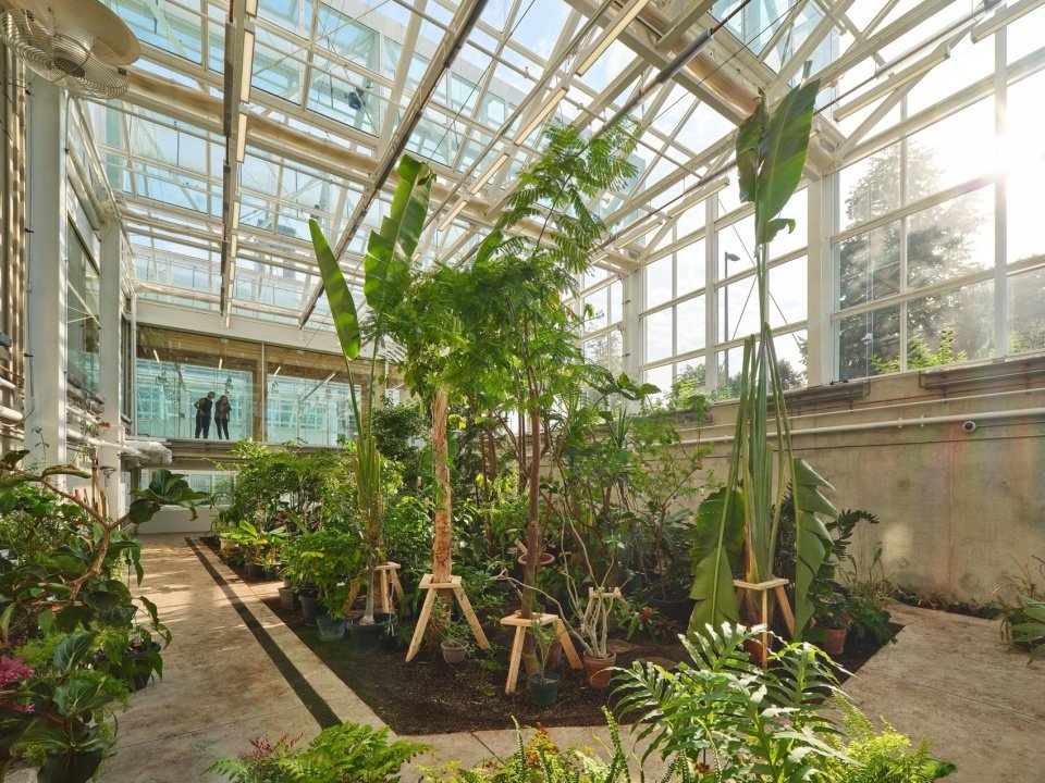 mcmaster university life sciences building and greenhouse by moriyama teshima architects