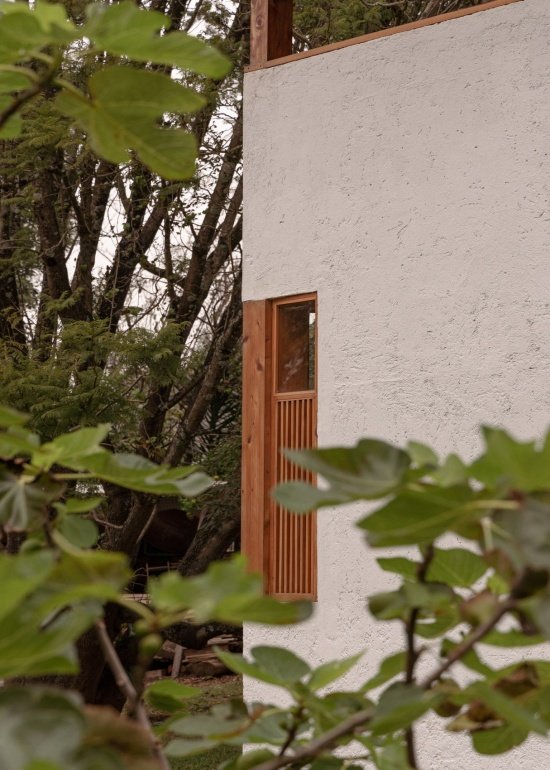 Wall and timber window framed by greenery