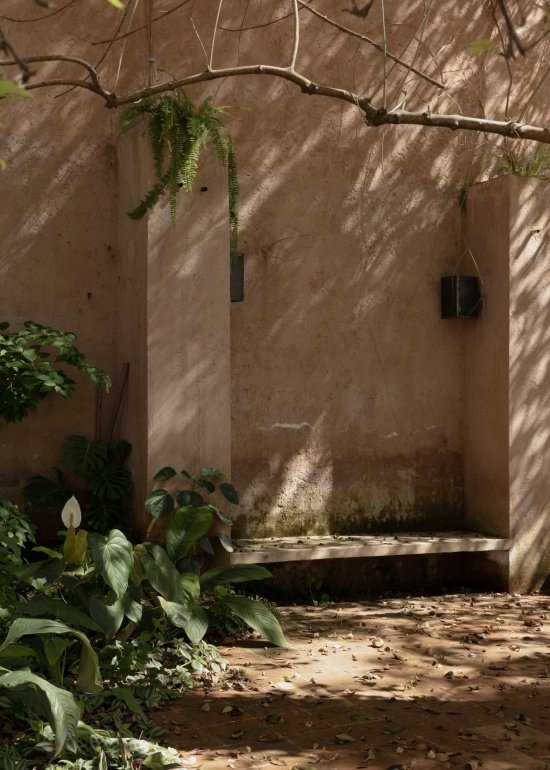 Courtyard planting and rendered walls