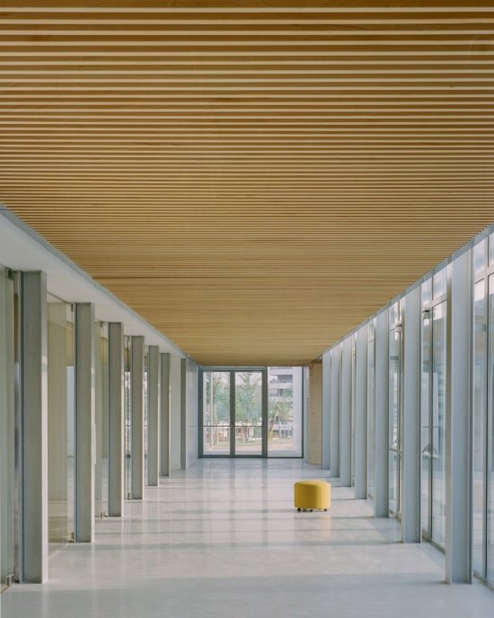 Timber ceiling and glazed cloister/ Timber ceiling and glazed cloister