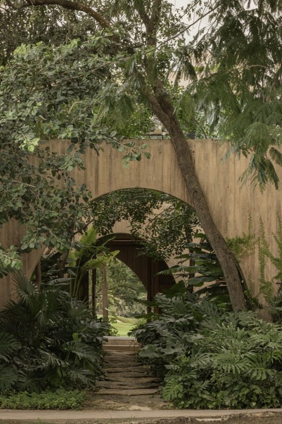 Entrance path through vegetation