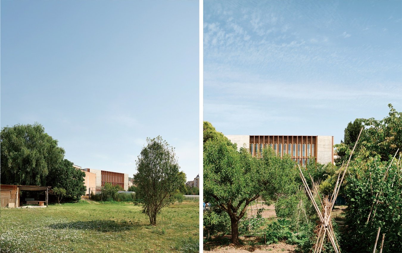 A distant view of the library in the vegetable garden