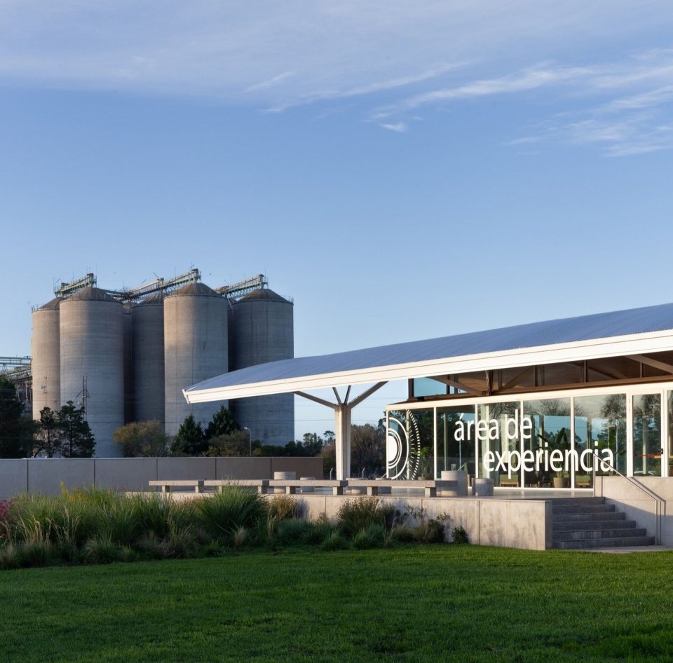 主楼与邻近筒仓 / The main building and neighboring silos