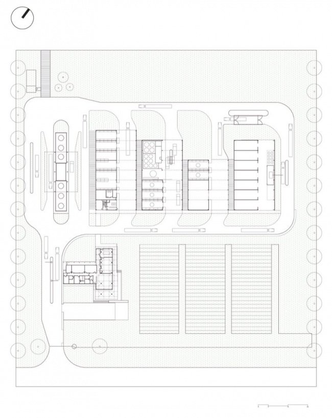 首层及场地平面图 / Ground floor and site plan