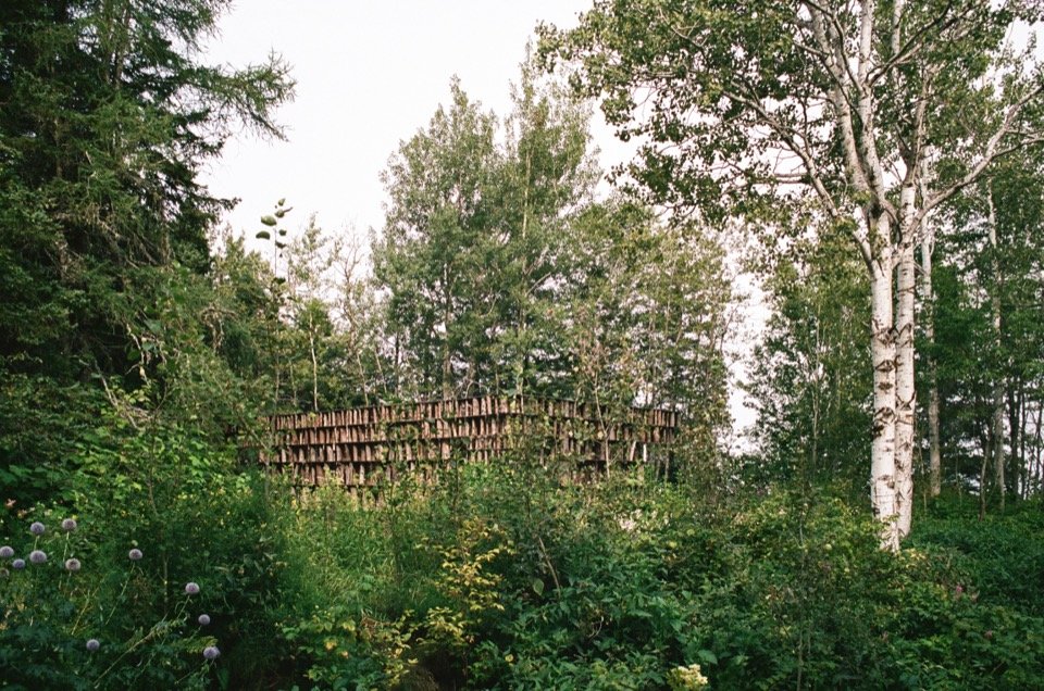 Distant view from the forest/Distant view from the forest
