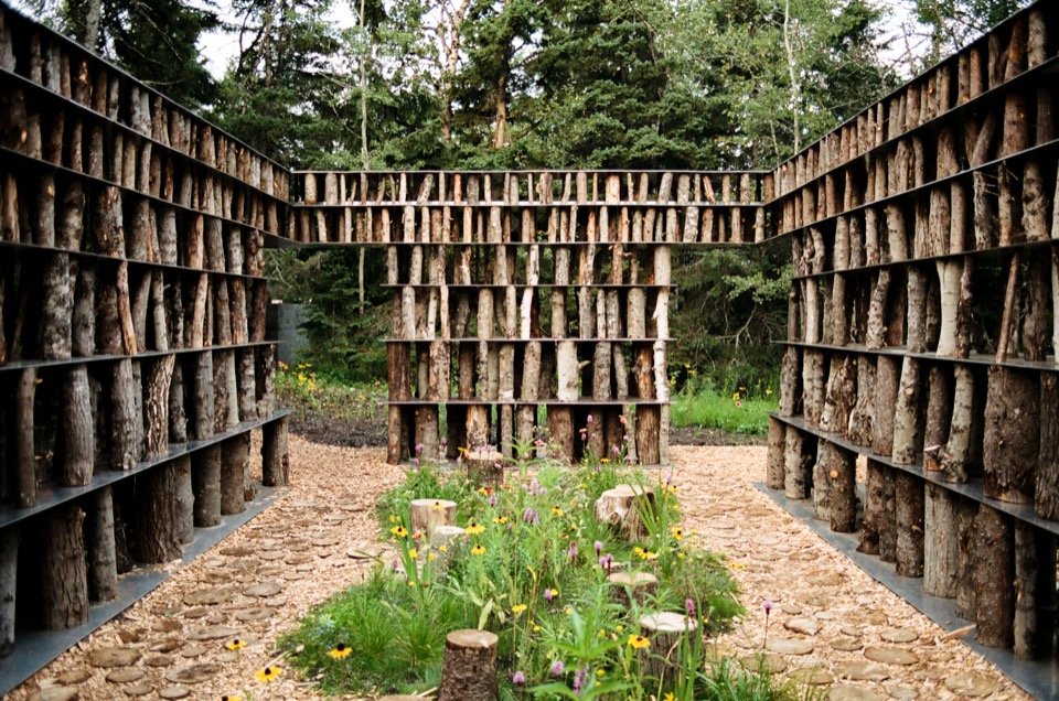 Inner corridor and central wildflower garden/Inner corridor and central wildflower garden