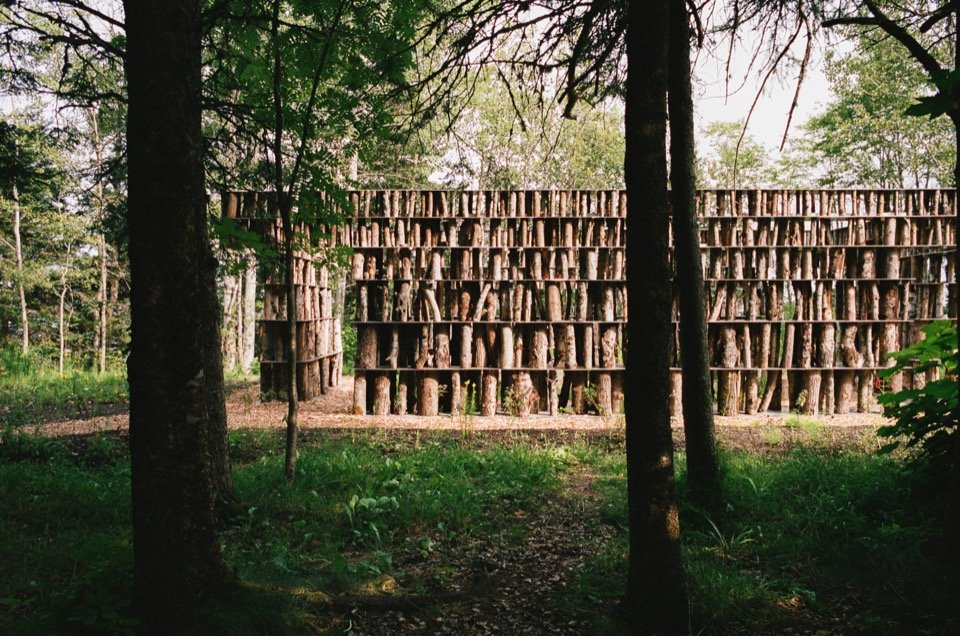 Side view through the trees