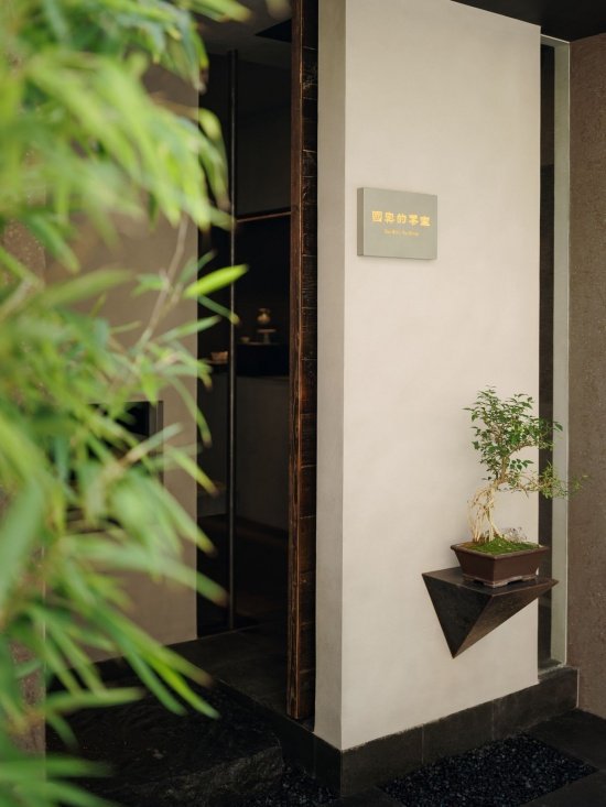 Tea garden path and bamboo