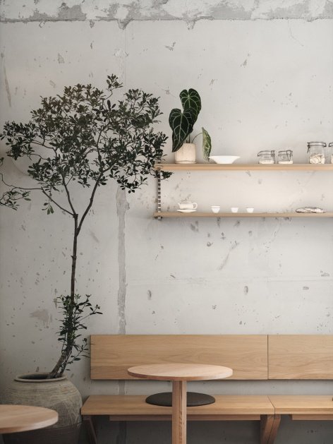 Green plant shelves and benches