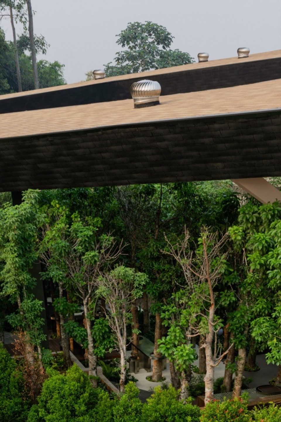 Roof edge and garden, Roof edge and garden