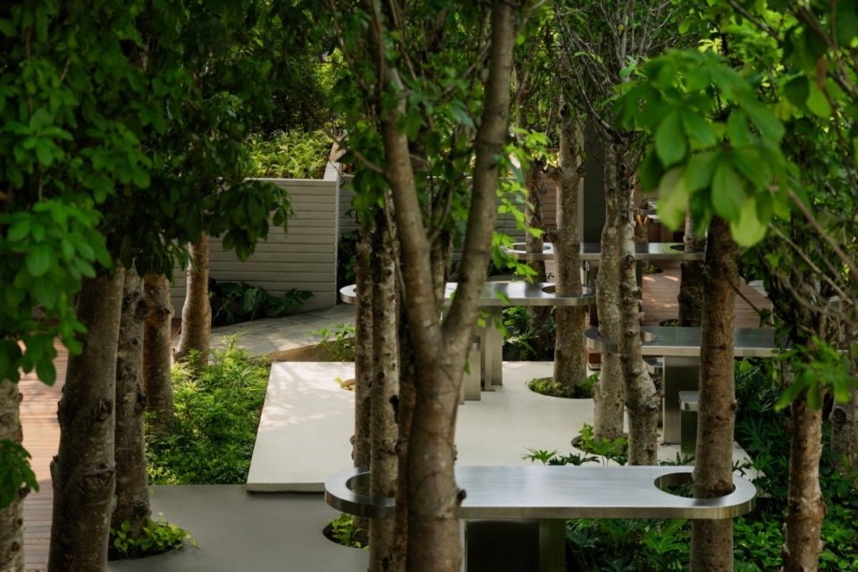 Paths and seating among trees