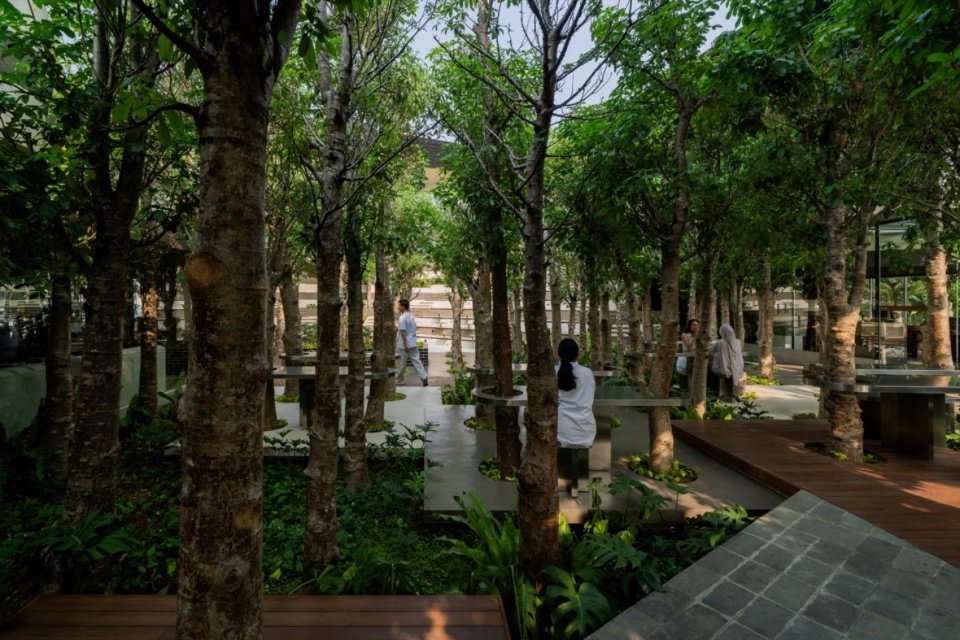 Walkways through the garden
