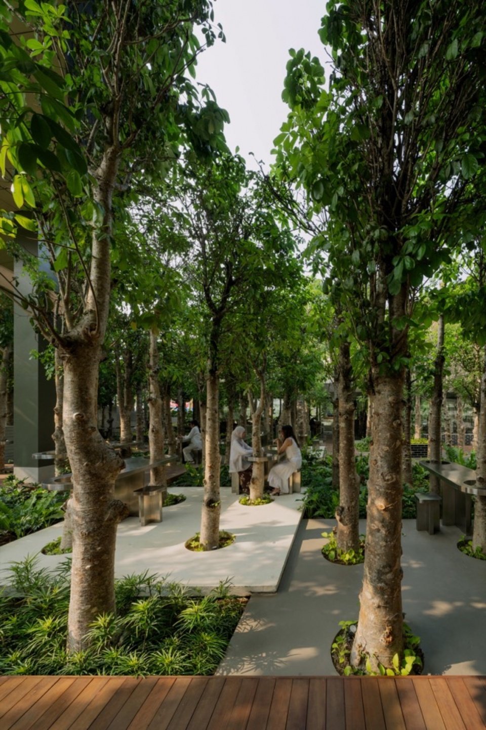 Path between the trees, Path between the trees
