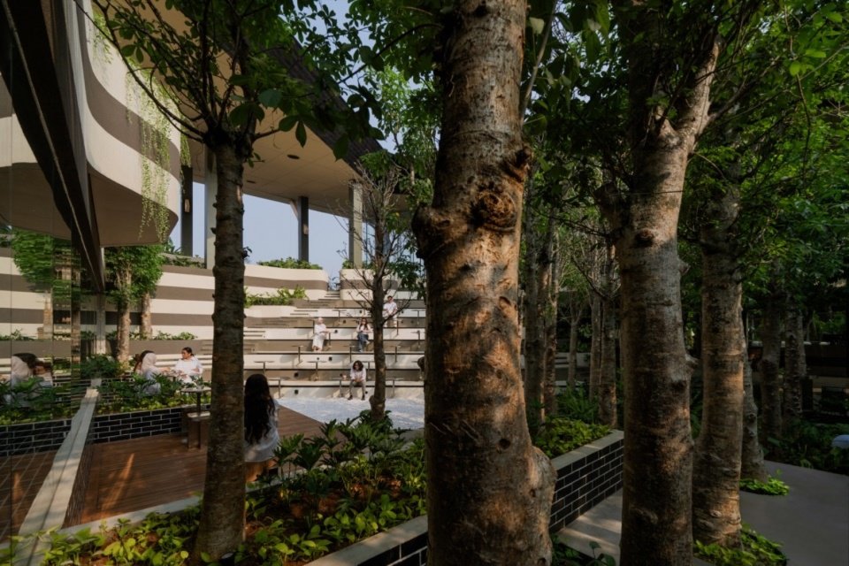 Trees and stepped seating