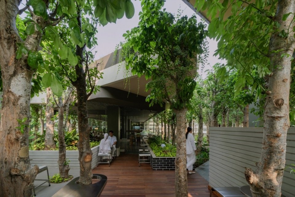 Threshold between garden and building