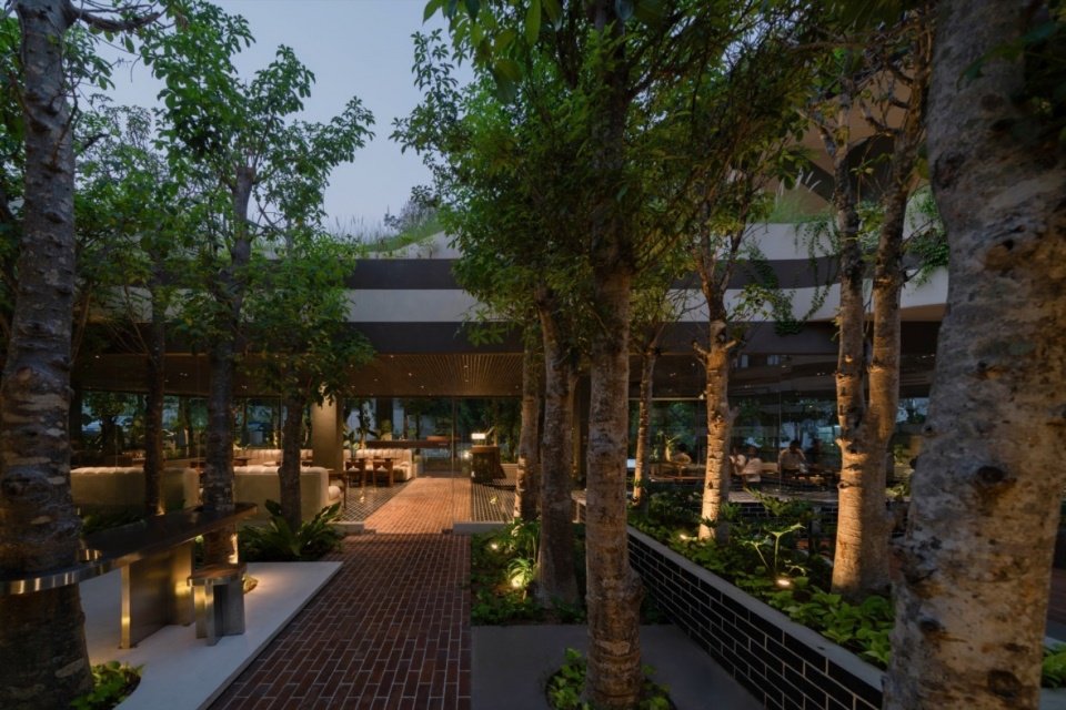 Garden paths at night, Garden paths at night