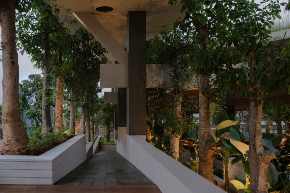 Walkway connecting garden and dining spaces