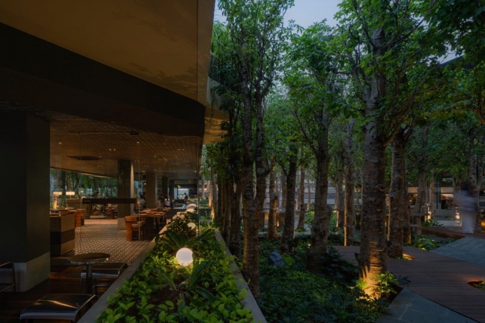 Sheltered dining space and garden, Sheltered dining space and garden