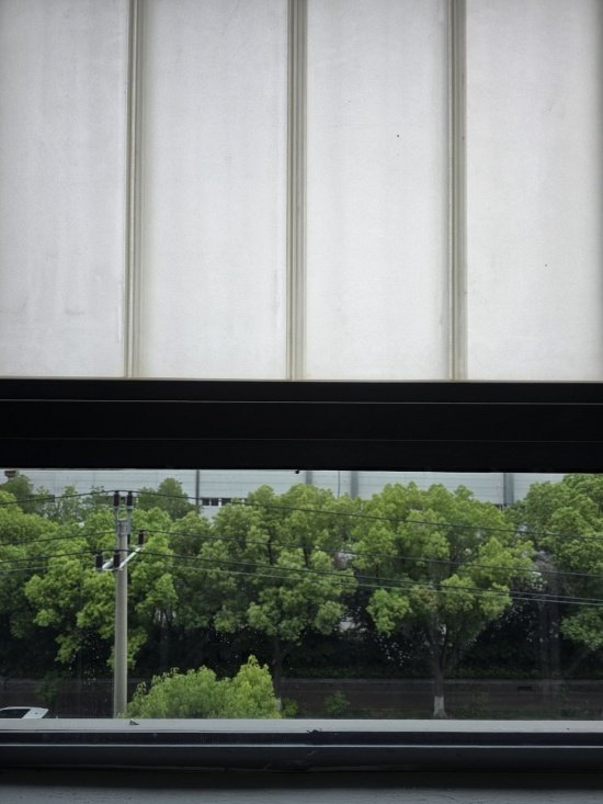 Frosted U glass and greenery outside the window
