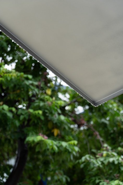 Canopy detail/Canopy detail