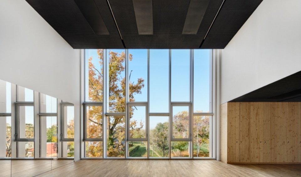 Trees seen through the tall windows
