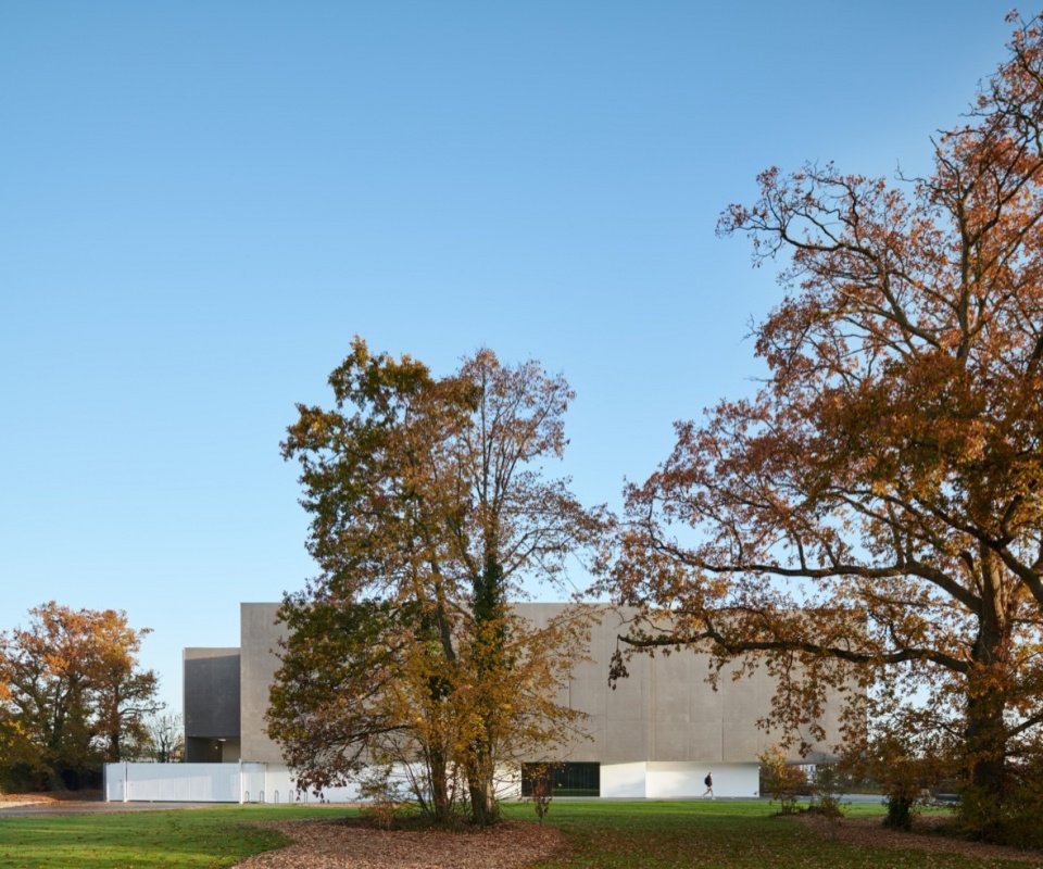 The building revealed between trees