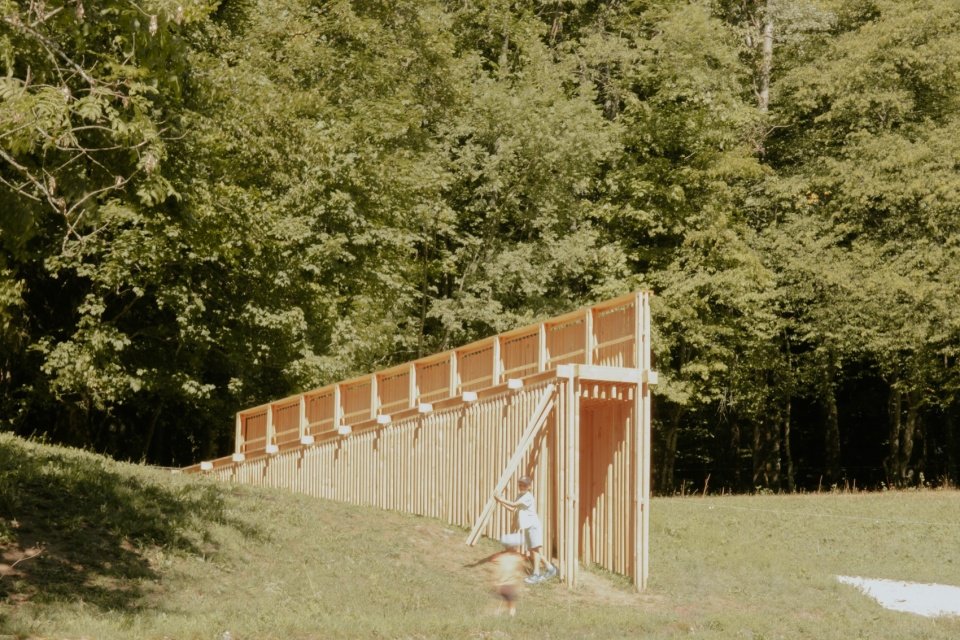 Timber walkway and woodland/Timber walkway and woodland
